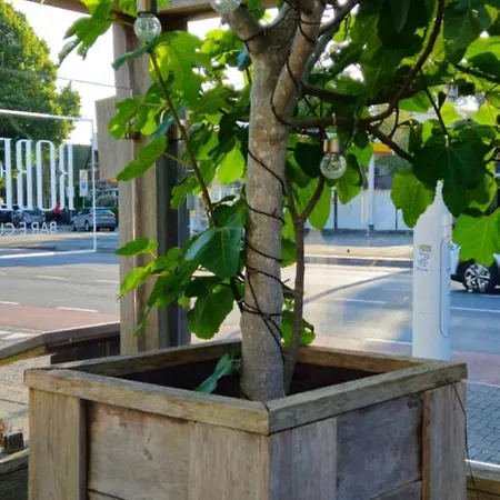 Casa Roberto * אלקמאר