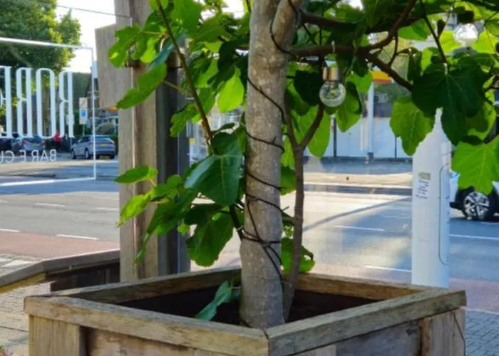 Casa Roberto * אלקמאר